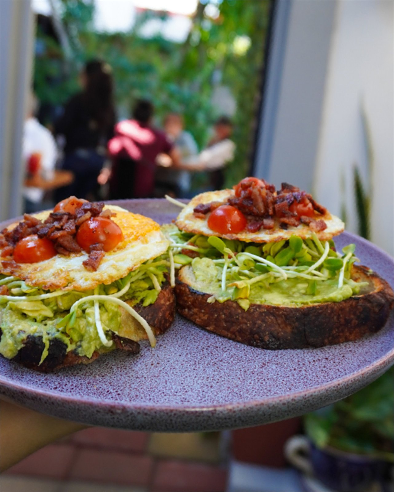 Avocado Toast